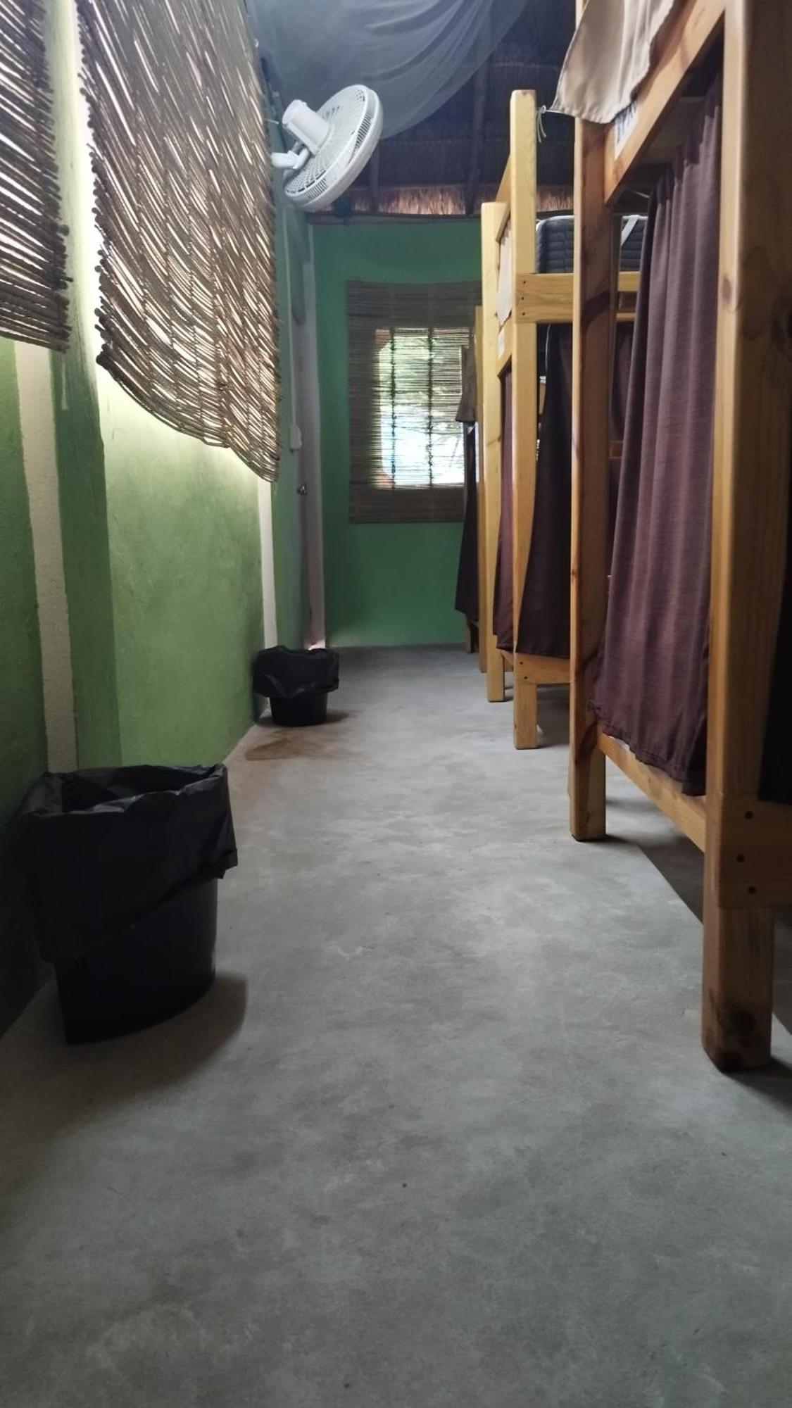 Blue Magic Hostel โกซูเมล ภายนอก รูปภาพ